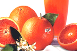 La produzione delle arance a polpa rossa &egrave; tipica ...