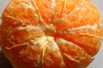 La coltivazione delle clementine si &egrave; diffusa in ...