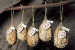 Prodotto di salumeria: carne di suino pesante stagionata.  ...