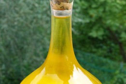 Olio extravergine di oliva Veneto