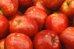 Le mele rappresentano il prodotto agricolo simbolo di ...